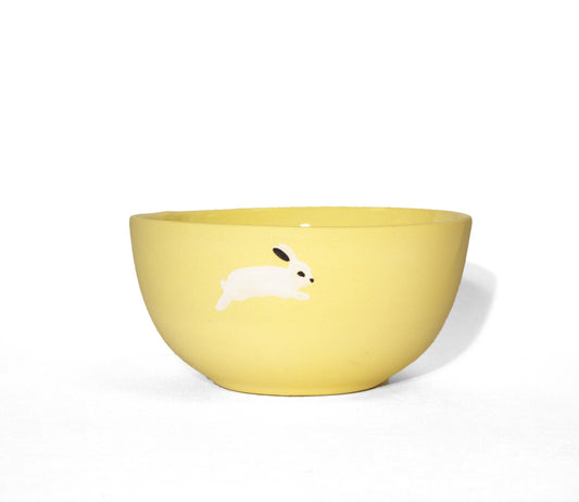 Seagull bowl